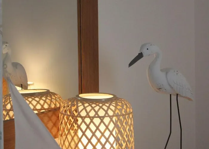 House * 퀴아이오스